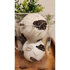 Regency International 120mm BIRCH BALL Christmas Ornaments Set/2 NEW in Pkg