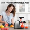 Cold Press Juicer Machine: Easy to Clean Slow Masticating Extractor