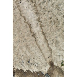 Happy Birthday Book: Happy Birthday Gifts Lined Journal Notebook (17) | Journal For Women, Friend Coworker Birthday Gifts | Funny Gag Gift | Funny ... | Romantic Gift for Girlfriend/Boyfriend