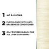 L'Oréal Paris Colorista Effect Bleach Lightening Kit, 1 Application, Lightens