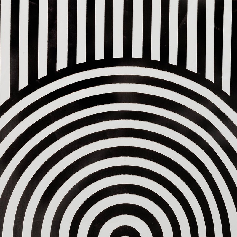 Sealskin Brave Shower Curtain 180 x 200 cm PEVA Black