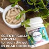 Alflorex Dual Action – Daily Gut Health Probiotics - Helps