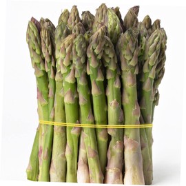 Ciieeo Elastic Bands 800pcs Thick Wide Rubber Bands Heavy Duty for Garbage Can