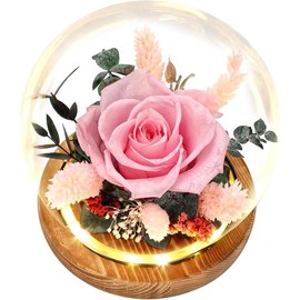 Preserved  Roses Gifts for Women Mom, Fresh  Forever Roses with Long-Lasting, Forever Roses Flower Bouquets with LED Lights, Birthday Gift, Mothers Day, Anniversary, Christmas - Color: Green-Rose-led