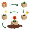 Feel Green Celebrations Ecocube, Orchid Tree, Wooden Cube with Laser
