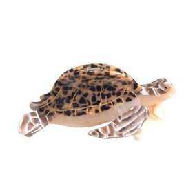 Funny Sea Turtle Hair Clips,Cellulose Acetate Hair Clips,Big Claw Clips for Girl,Hair Accessories,Tortoiseshell