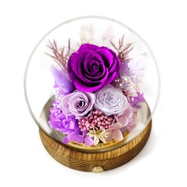 YNWYH Preserved Real Rose Flowers in Glass Dome with LED Lights,Real Rose Flowers Unique Floral Gift for Girlfriend Mom Wife Girlfriend on Christmas Birthday Anniversary (Aurora Purple)