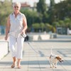 PUPTECK Chew Proof Dog Leash for Small Medium Large Dogs,