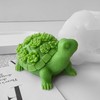Turtle Mold Turtle Resin Mold Turtle Mold for Chocolate Animal