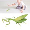 Remote Control Insects RC Animals Children Adults Trick Toys Electric