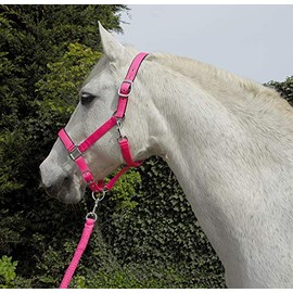 Rhinegold Carnival Headcollar & Rope Carnival Headcollar & Rope Light Pink Pony