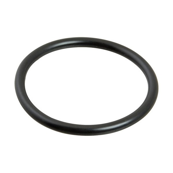 Sloan C/O Robert Burns Assoc. O-Ring by Sloan 5308696