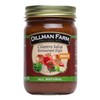 Dillman Farm Cilantro Medium Salsa, 13oz (Pack of 6)