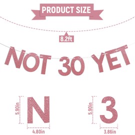 Not 30 Yet Banner - Last Year In My 20s, Twenty Fucking Nine, Cheer to 29 Years, Funny 29th Birthday Party Decorations Rose Gold Glitter
