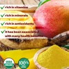Organic Mango Powder - Pure All Natural Mango Powder for