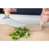 Eppicotispai Stainless Steel Mezzaluna Chopper/Mincer with Wooden Handle, 10-Inch