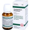 CAULOPHYLLUM Pentarkan Tablets Pack of 200