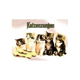 Katzenzungen Metal Magnet flat New 6x8cm VM048A