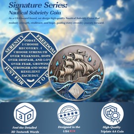 Braving The Storm 14 Year Sober Coin, Nautical NA Coin, Addiction Recovery Fourteen Year Sober Chip, Celebrating Recovery Anniversary Token, Narcotics Anonymous Sobriety Gifts for Men Women