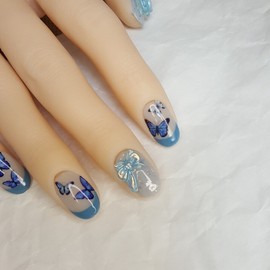 Butterfly dream Dream Butterfly - Other tips (consultation) / Butterfly dream 몽환나비 - 그 외 팁(상담)