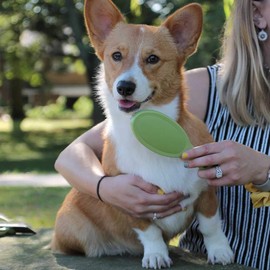 Coastal - Safari - Bristle Dog Brush, Brush, Large (9" L x 2.625" W)