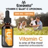 Enegeeko Liposomal Vitamin C Liquid 2000mg – High Absorption Vegan
