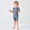pureborn Kids Viscose from Bamboo Pajamas Set Pjs - Little