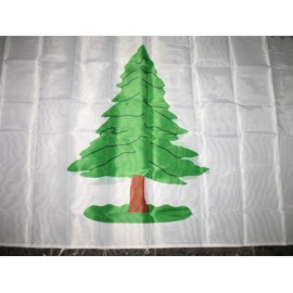 3x5 an Appeal to Heaven Washington Cruisers Double Sided Nylon Poly 2ply Flag 3'x5' Banner