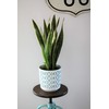 Tymar Flower Pot, Set of 2, Round Shape, Planter (Black/Gold,