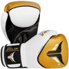 Mytra Fusion Boxing Gloves Punch Hard SL-5 Training Bag Gloves
