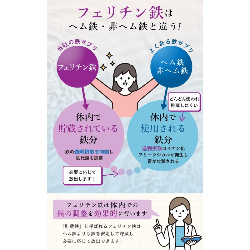 鉄分 サプリ 葉酸サプリ フェリチン鉄 【医学博士監修 国内製造】 葉酸 亜鉛 ビタミンC ビタミンE