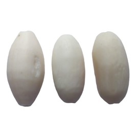 BHAVICREATION Camel Bone Sitar Oval Tuning Bead (3 pcs) Sitar Accessory
