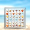 Acrylic Seashell Display Box 36 Grids Magnetic Seashell Display Box