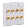 Speaker Wall Plate with 8 Banana Binding Posts, HTTX [2-Gang]