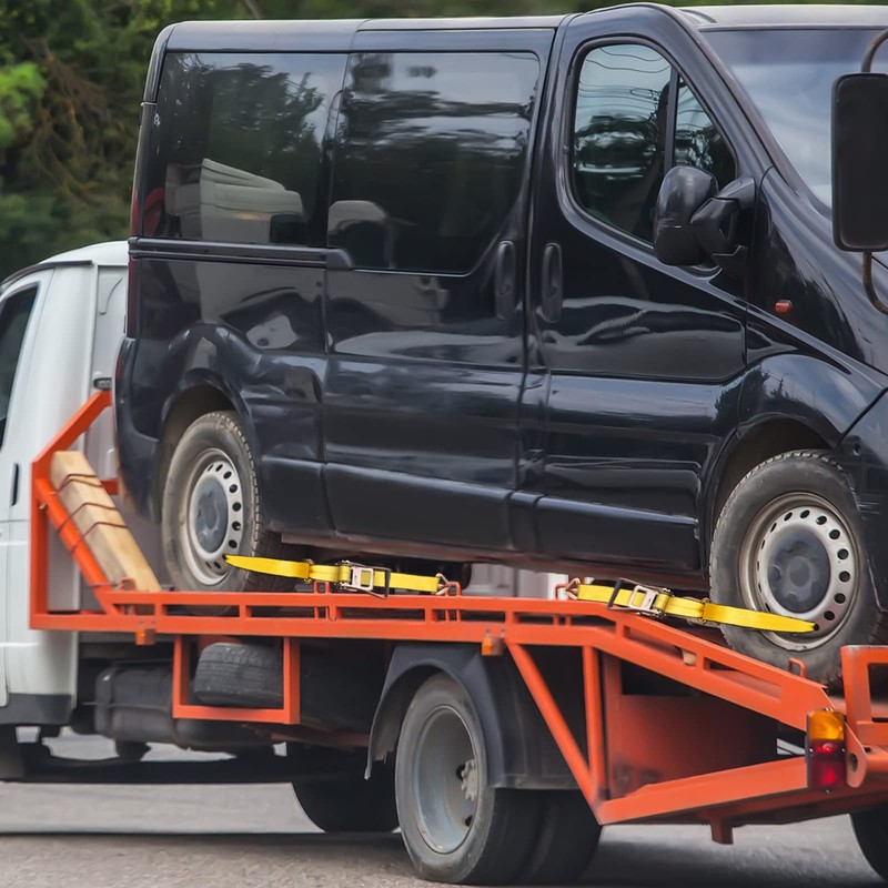 Zeuli 2” x 8’ 8-Pack Lasso Strap with D Ring