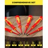 EZARC Insulated Screwdriver Set, 6 Pieces Precision VDE Insulated Electricians