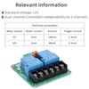 Ruimou 1Pcs DC 12V 2-Channel Relay Module 30A High and