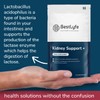 BestLyfe Kidney Support+ Supplement | 14 Nutrients & Vitamins |