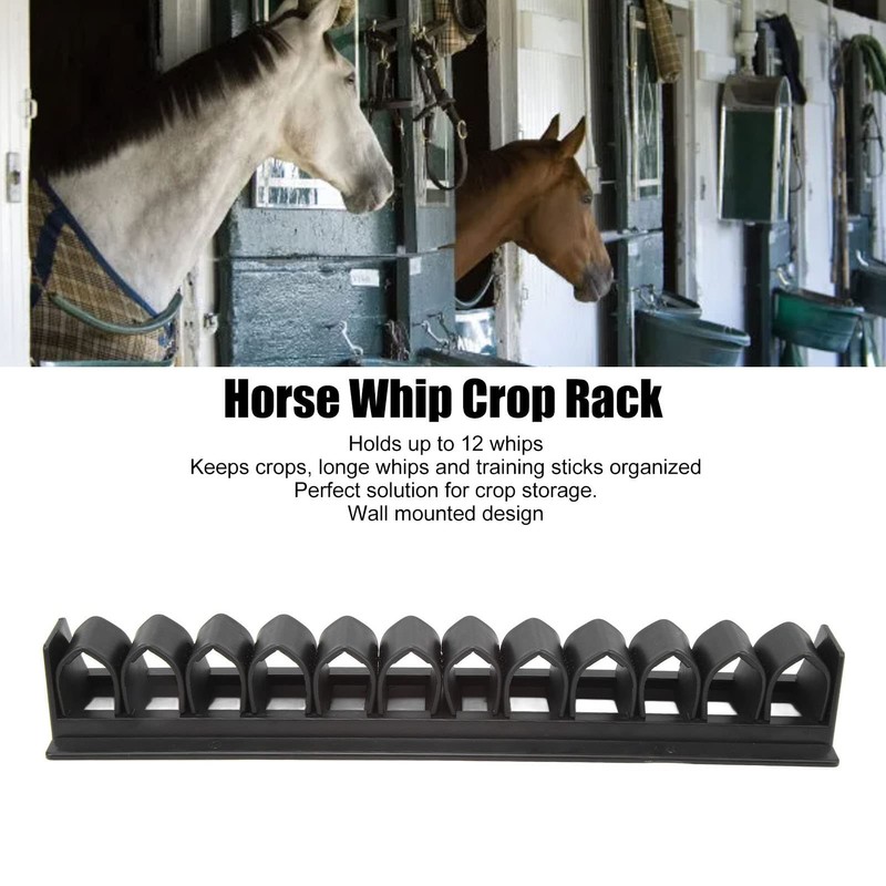 Alomejor Horse Whip and Whip Holder Wall Mounted - Keep