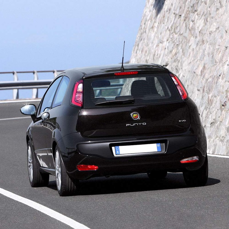 Abarth 3D Sticker for Fiat Punto Evo