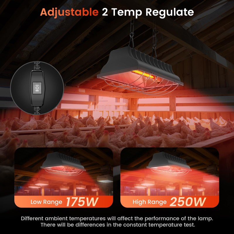 Chtoocy 250W Bulb Repalcement -Heater for 30 Chicks Or Ducklings,7.86ft