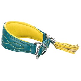 TRIXIE Active Comfort Greyhound Collar Size XS-S: Neck Circumference 24-31 cm/50 mm in Petrol - Extra Wide Dog Collar for Small Dogs, Protects the Throat Area, Lined, 18966