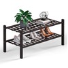 Haddockway 2 Tier Bamboo Shoe Rack Storage Organizer, Multifunctional Free