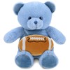 DolliBu Baby Blue Bear Stuffed Animal with Football Plush -