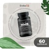 Hmb Suplemento Alimenticio Origen Natural Apoyo Mantenimiento Muscular Recuperación Fuerza