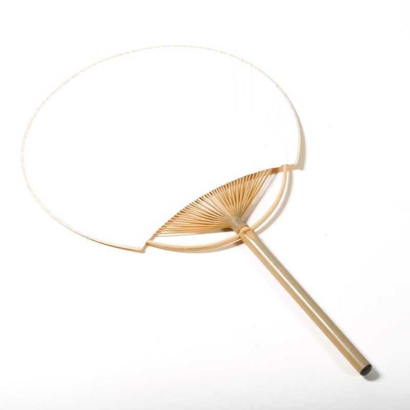 Forest Paper, Ultra Thin, Natural Wood, Fan, Cedar, Straight Grain