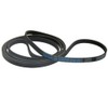 UTP for Hotpoint Indesit Tumble Dryer Belt Genuine Contitech 144002145