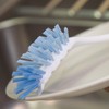 Vileda Fresh Dish Brush