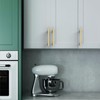 Asidrama 10 Pack 5 Inch(128mm) Brushed Gold Kitchen Cabinet Handles,