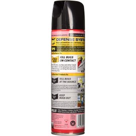 Raid Ant & Roach Killer Insecticide Spray-Outdoor Fresh - 17.5 oz, Clear